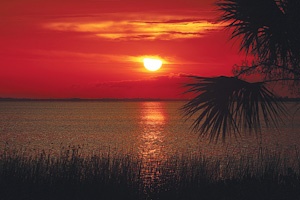 Lake Apopka sunset
