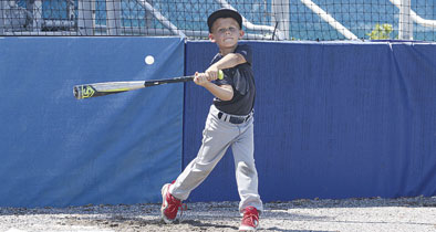 Apopka Blue Darters baseball program