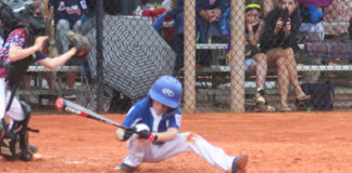 apopka little league all-star competition