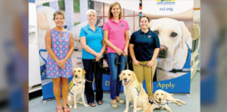 Canine Companions for Independence sponsor jk2 dog