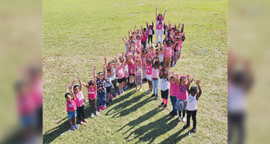 Lovell Elementary School Breast Cancer Awareness Month