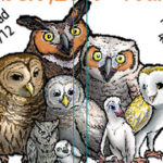 14th annual  Avian  Reconditioning- Fall Owl Fest