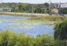 A large lake is surrounded by greenery, with a road in the background.