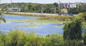 A large lake is surrounded by greenery, with a road in the background.