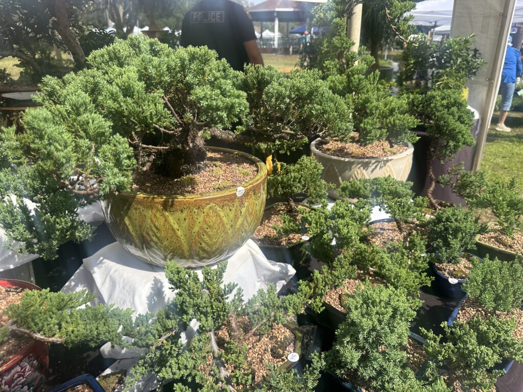 63rd annual Apopka Art & Foliage Festival