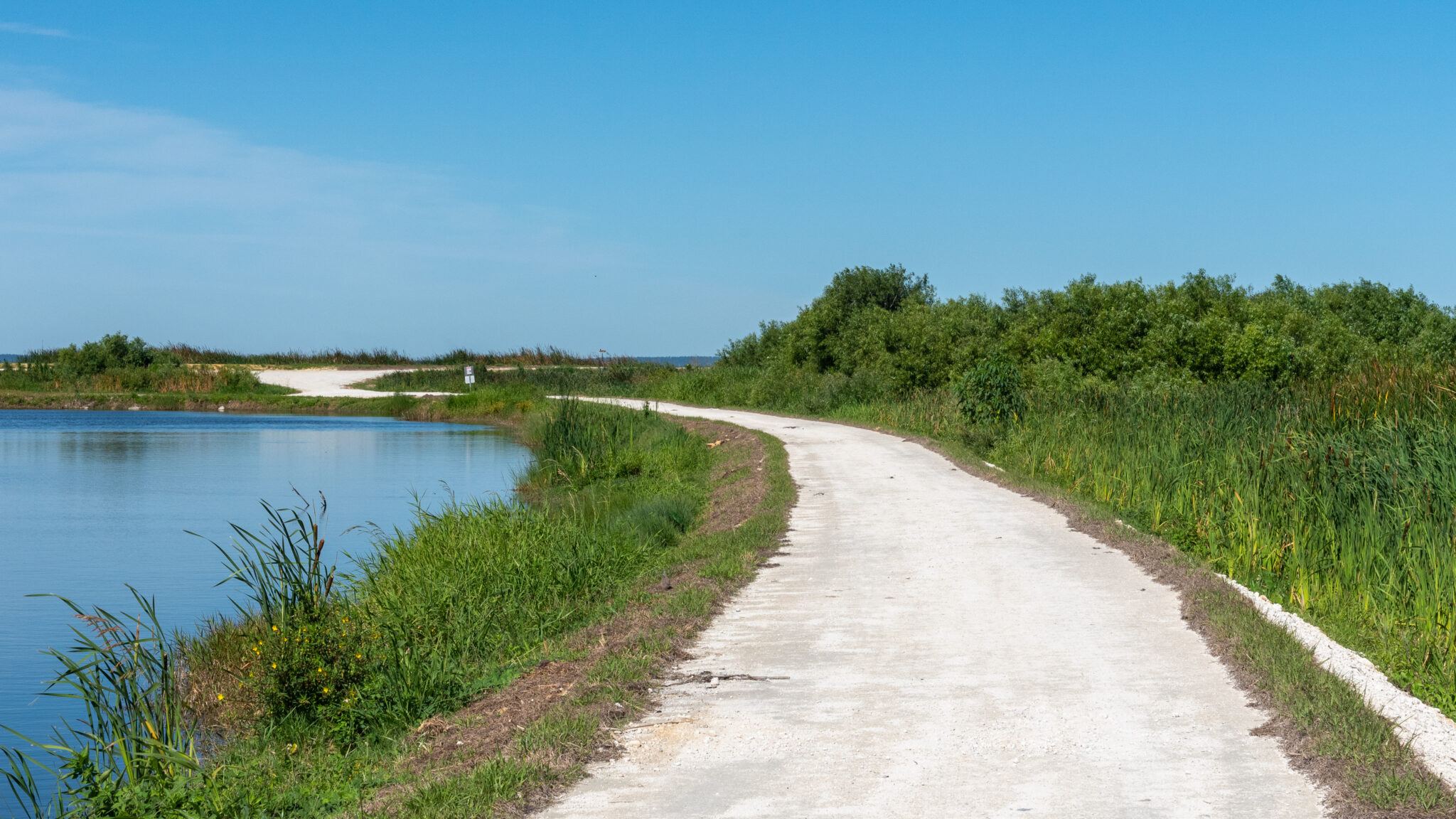 Supporters to celebrate Lake Apopka Wildlife Drive’s 10th anniversary