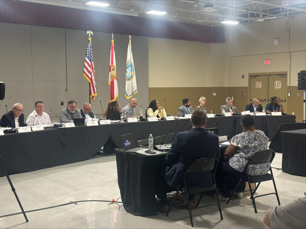Orange County redistricting