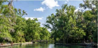 A water spring surrounded by trees and a blue sky with clouds overhead.