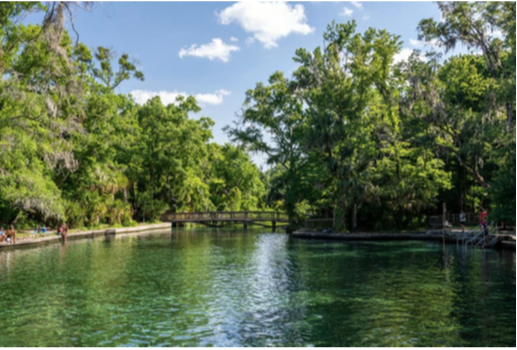 A water spring surrounded by trees and a blue sky with clouds overhead.