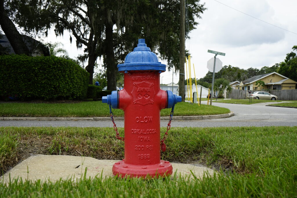 A red fire hydrant with a blue top