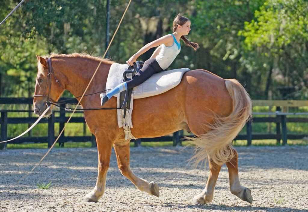A young girl rides a horse backwards 