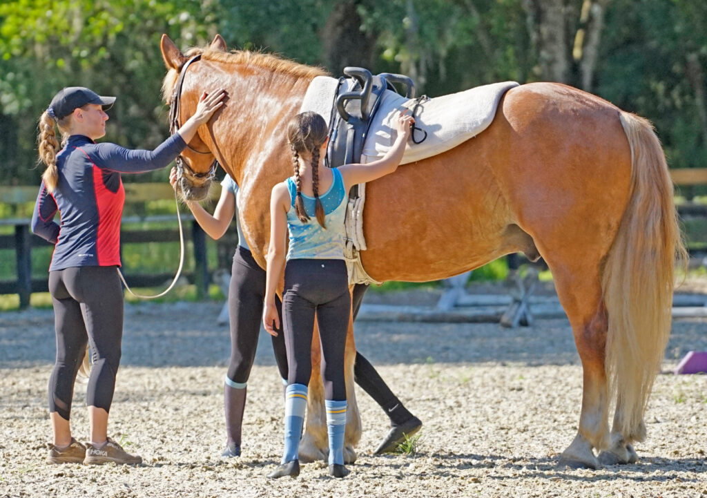An equestrian vaulting trainer shows their horse affection after a lesson.