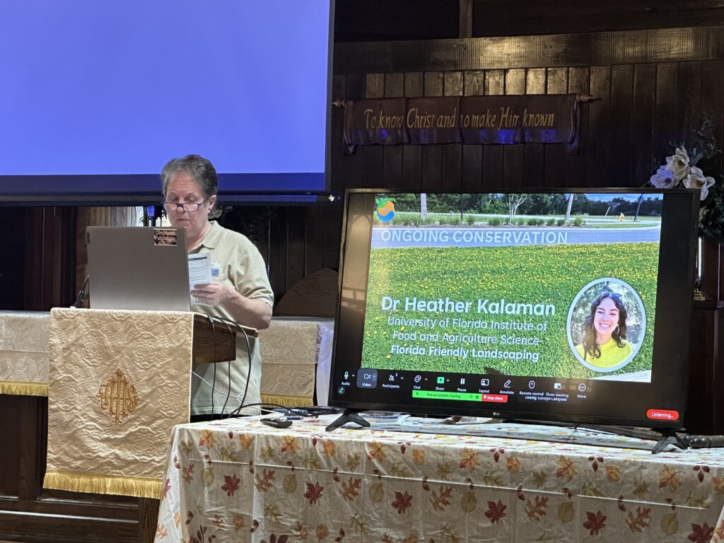 Dr. Phyllis Olmstead speaks at Wednesday's seminar.