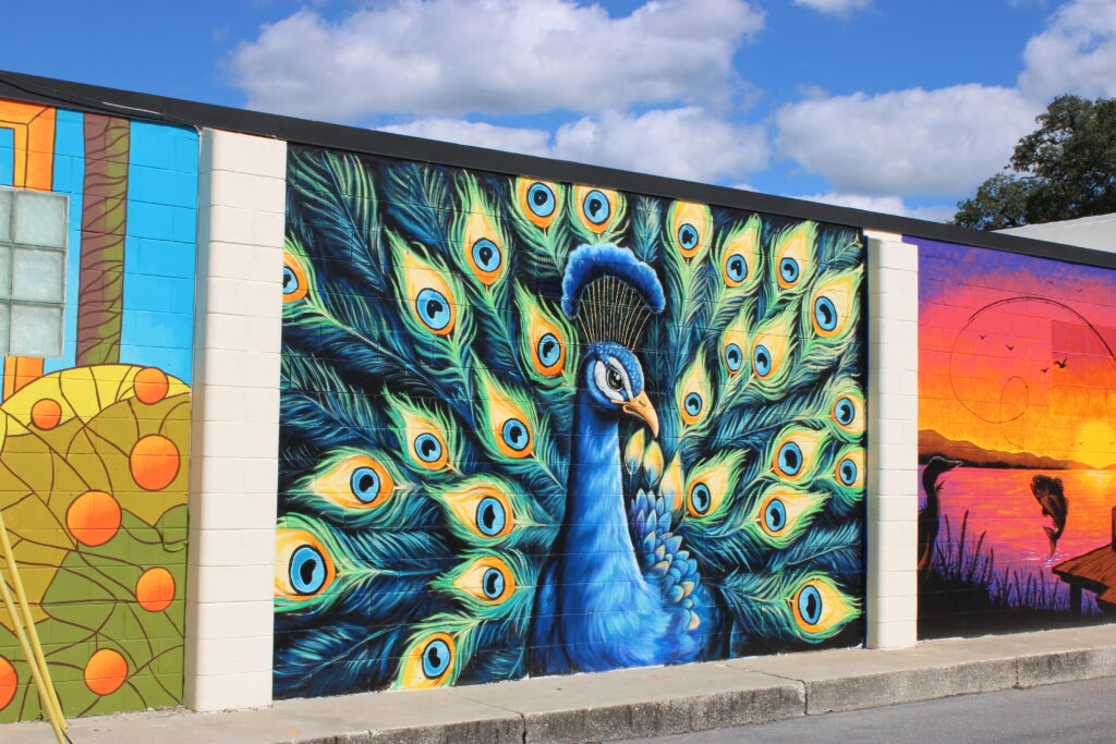 Jordan Jones' peacock mural before the signing on Saturday