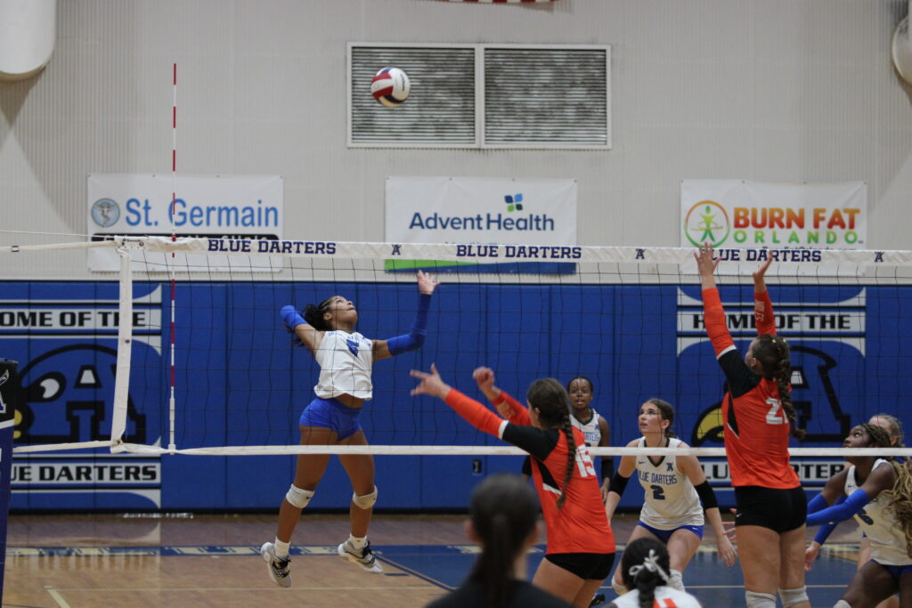 Napier rises at the net to attempt a kill