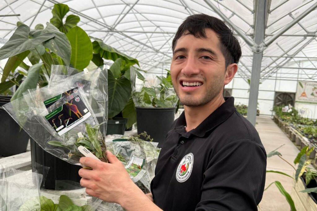 Jorge Portilla claims the orchid species Masdevallia priscillana may be named after his mother.