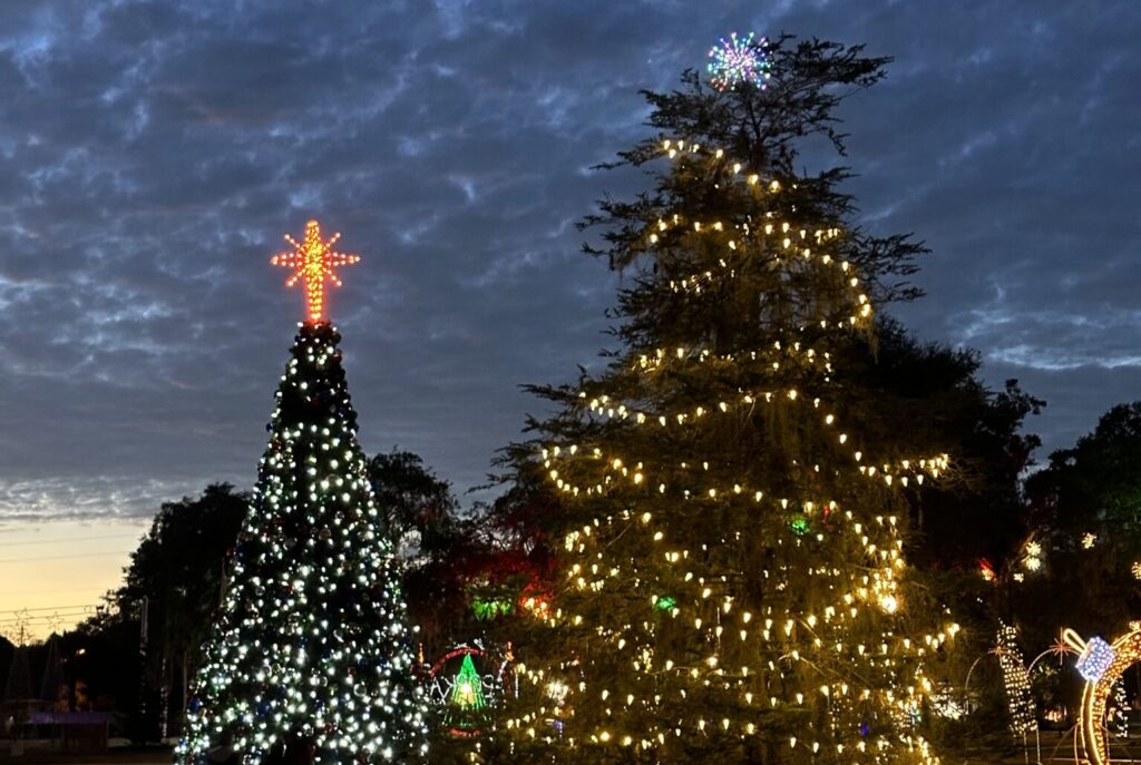 Decorated trees populate Kit Land Nelson Park in this file photo.