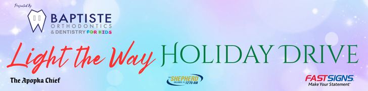 Light the Way Holiday Drive