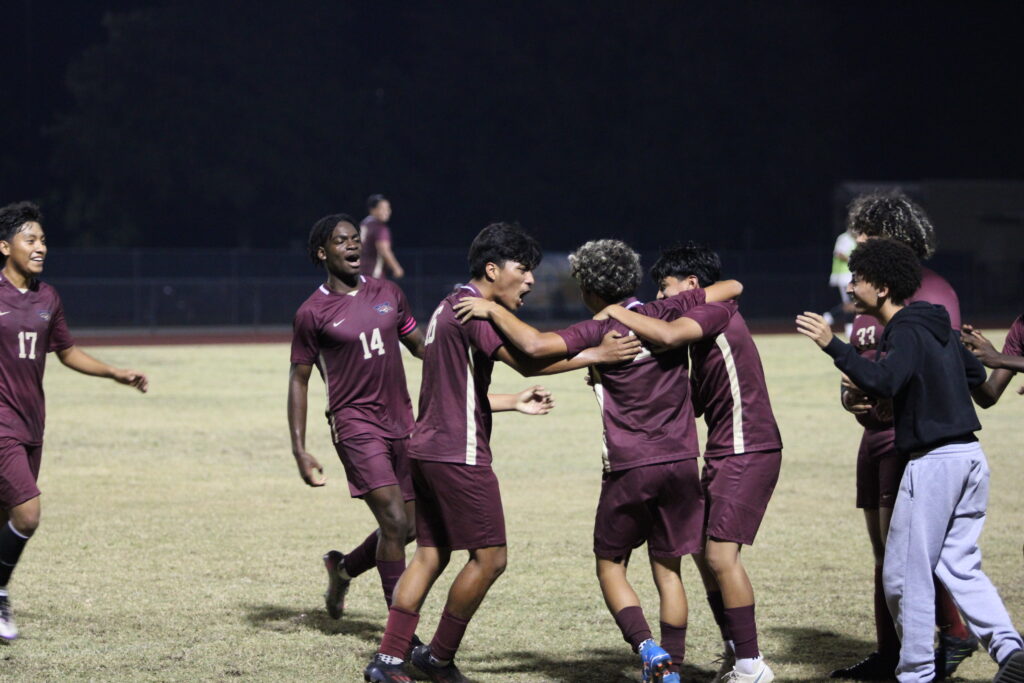 Teammates bask in the glorious game winner from David Bohdert