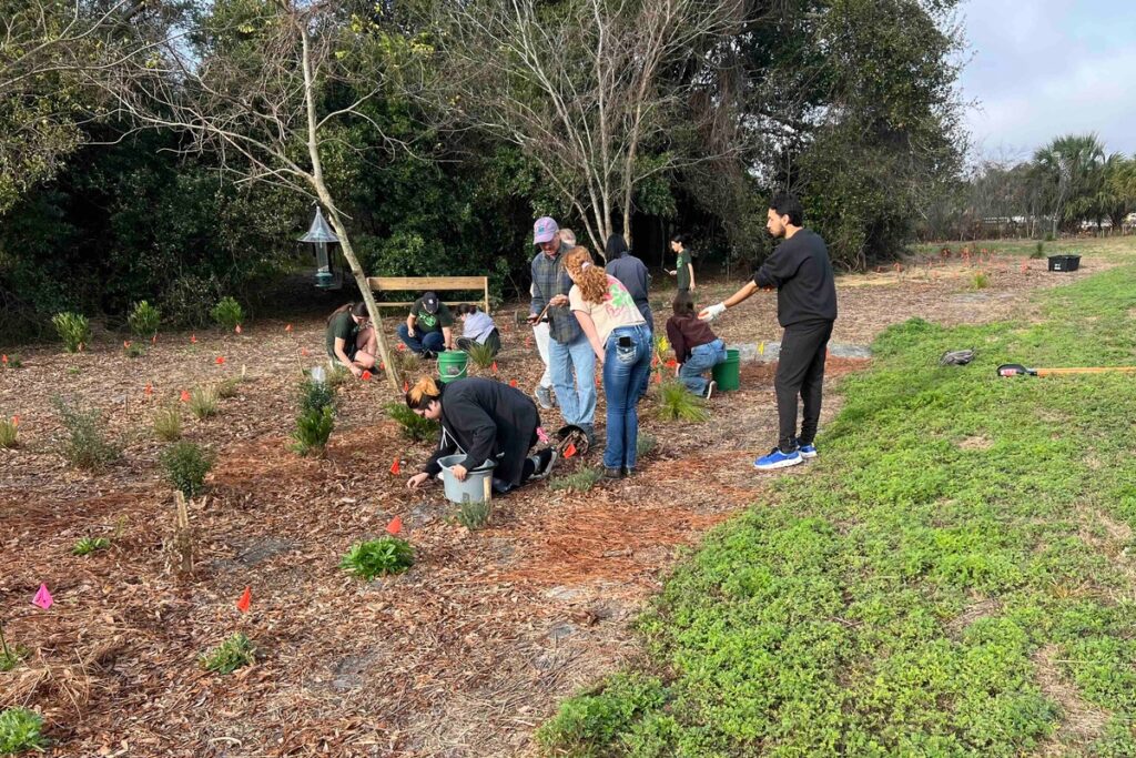 Volunteers continue to clean up the 70-acre Apopka Birding Park while the property awaits the construction of a Nature Center, which the Orange Audubon Society is raising money for and seeking a contractor.