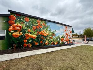 New orange grove mural arrives in downtown Apopka