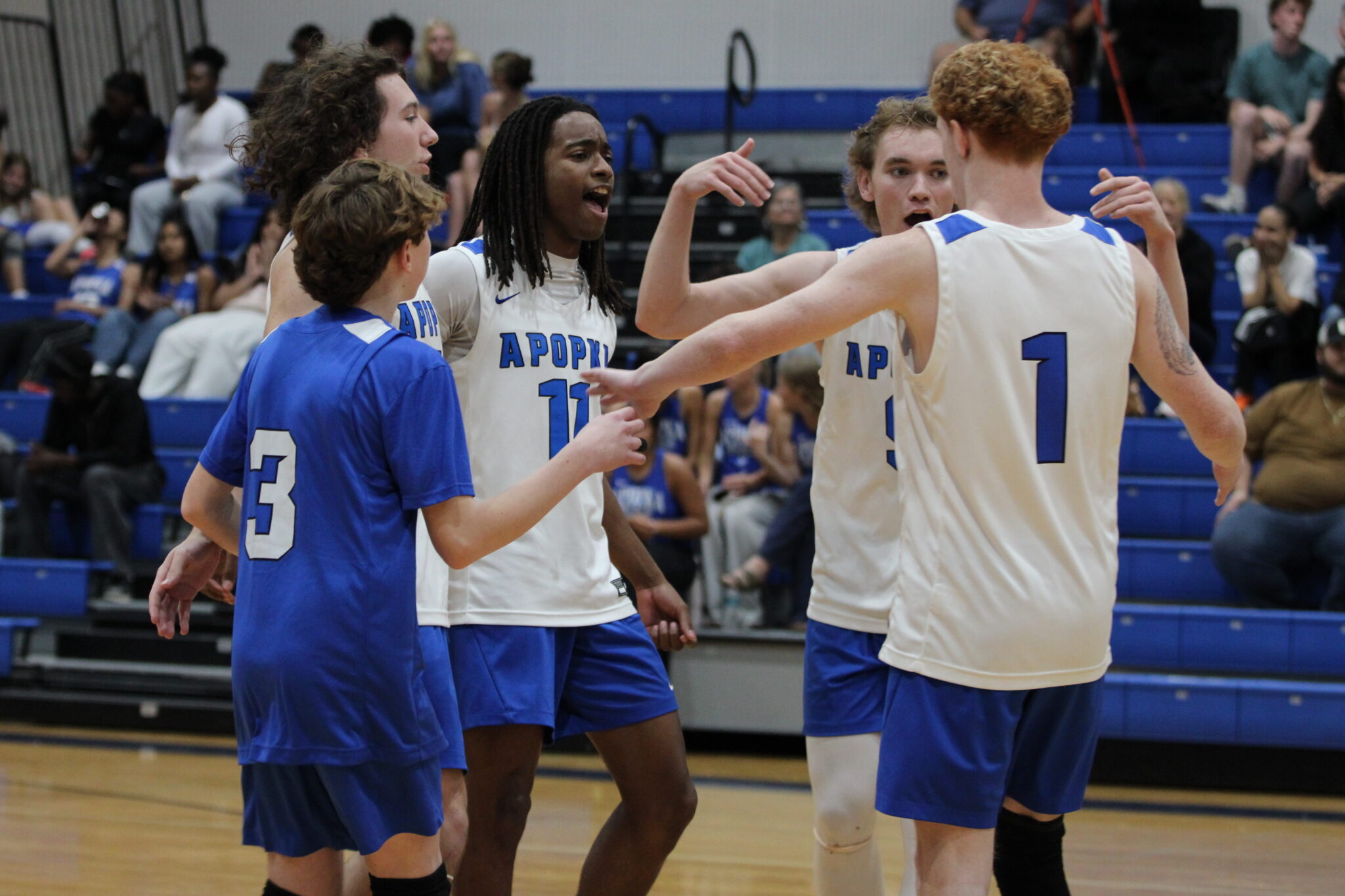 Blue Darters celebrate a point in the second set