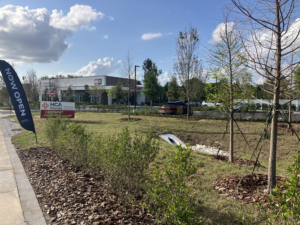 Tree canopy helps limit heat at HCA’s new ER facility 
