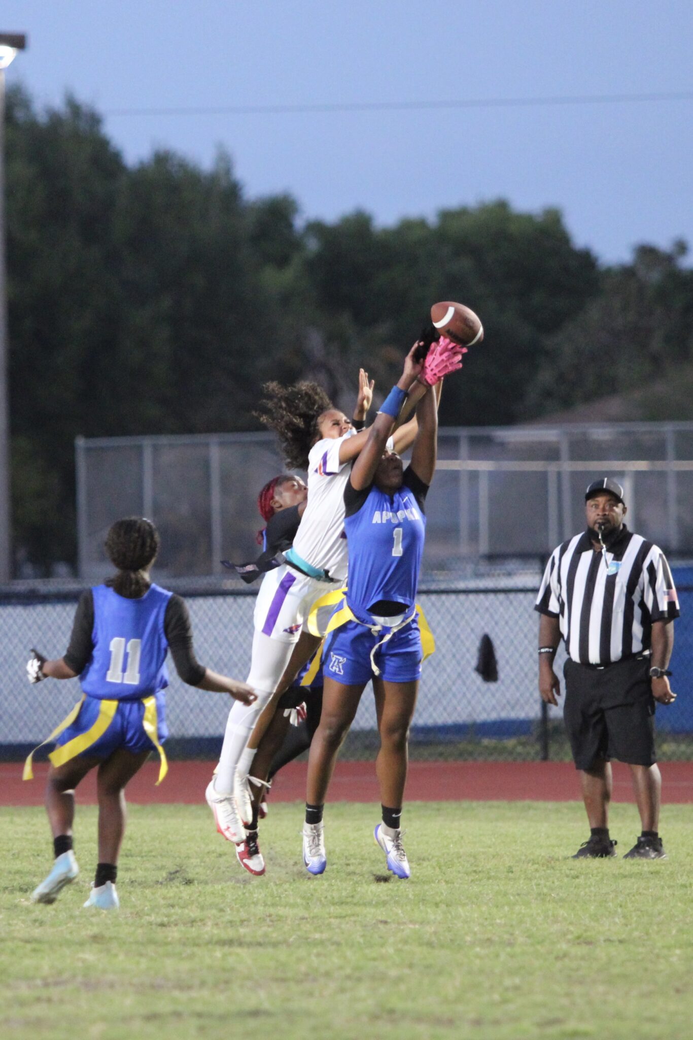 Elyse Pringle breaks up a pass while defending at the goal line