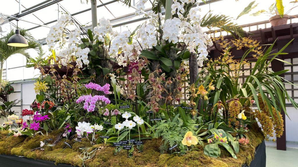 Krull-Smith previously created a large floral display for an April 2024 gathering.