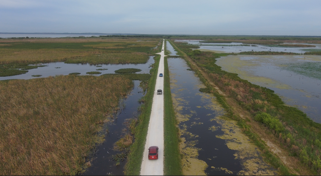 Lake Apopka Wildlife Drive marks 11 years of providing vehicular access, allowing visitors to explore the scenic Lake Apopka North Shore. 