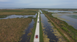 Lake Apopka Wildlife Drive celebrates 11 years  