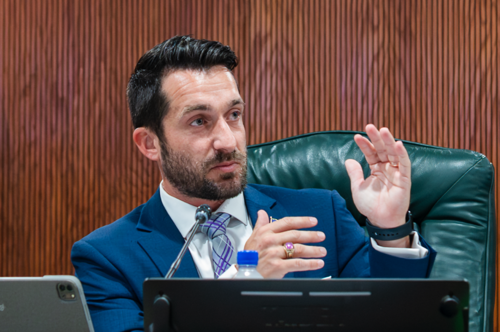 Mayor Nick Nesta speaks at the May 13 budget workshop.