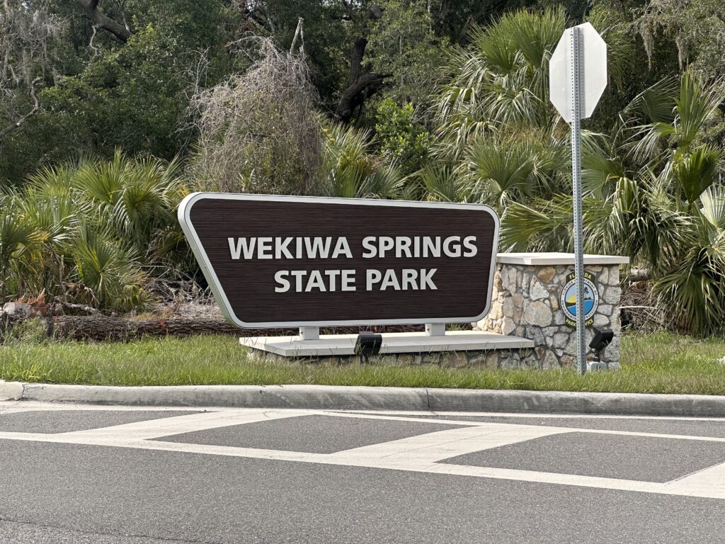 Wekiwa Springs State Park offers canoeing, horseback riding, and other outdoor opportunities to guests.