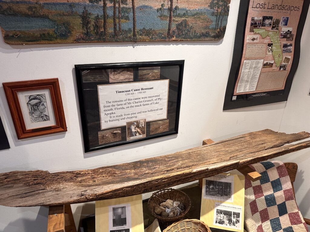 The remains of a Timucuan dugout canoe, dating from approximately A.D. 1200 to 1500, was recovered from the muck farms of Lake Apopka in the 1990s. The remains are on display at the Apopka Museum.