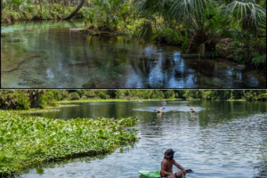 St. Johns District’s draft basin plan focuses on Apopka-area springs 