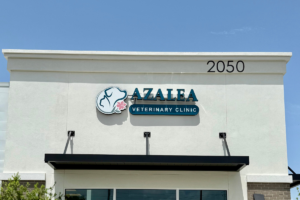Azalea Veterinary Clinic opens in Apopka