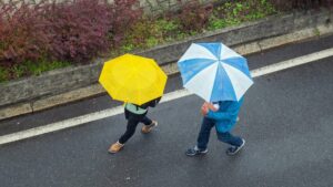 7 Apopka rainy-day activities for families