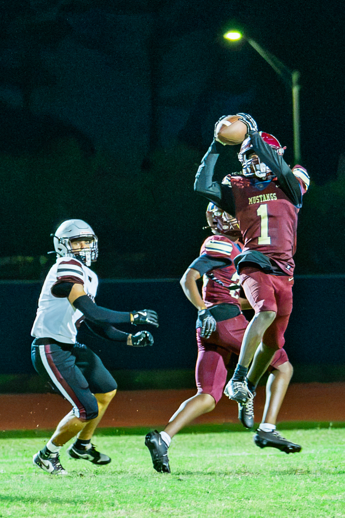 Dominique Walker hauls in a pass over the middle from freshman quarterback Ty’Rance Cook.