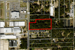 Apopka Planning Commission to elect vice chair, discuss development code 