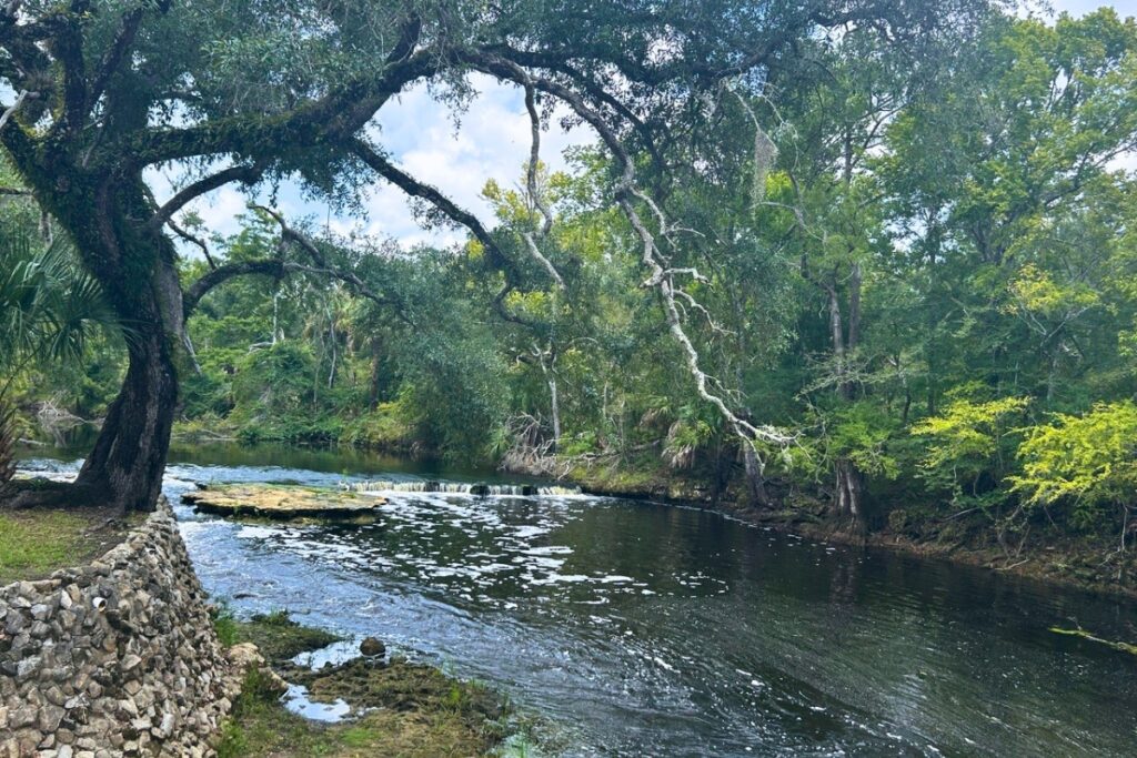 Steinhatchee Falls, one of Florida's few waterfalls