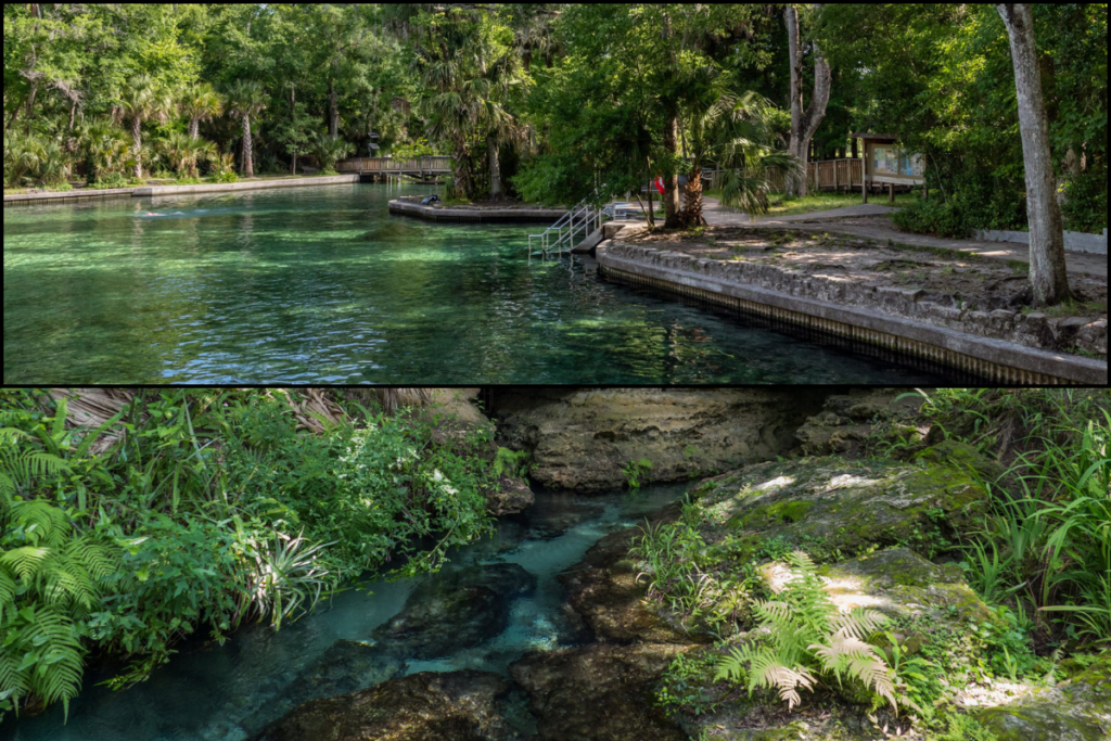 Wekiwa Springs (top); Rock Springs (bottom)