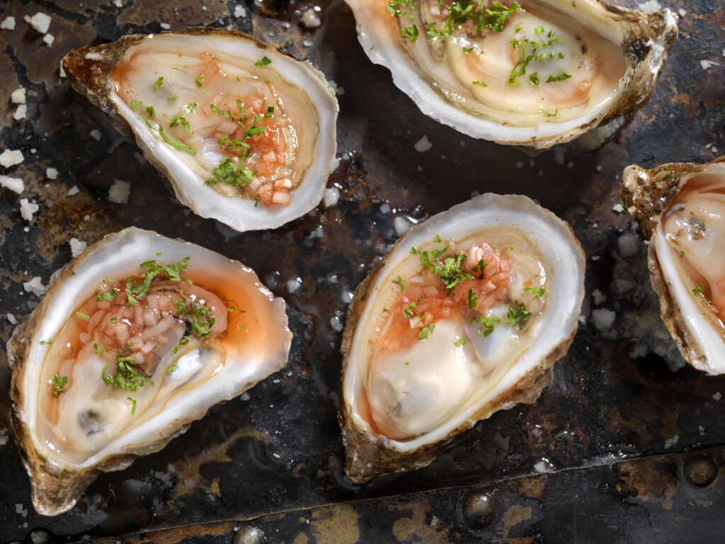 Oysters