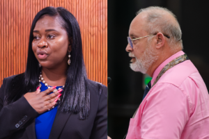Records detail planning staff allegations against Anderson 