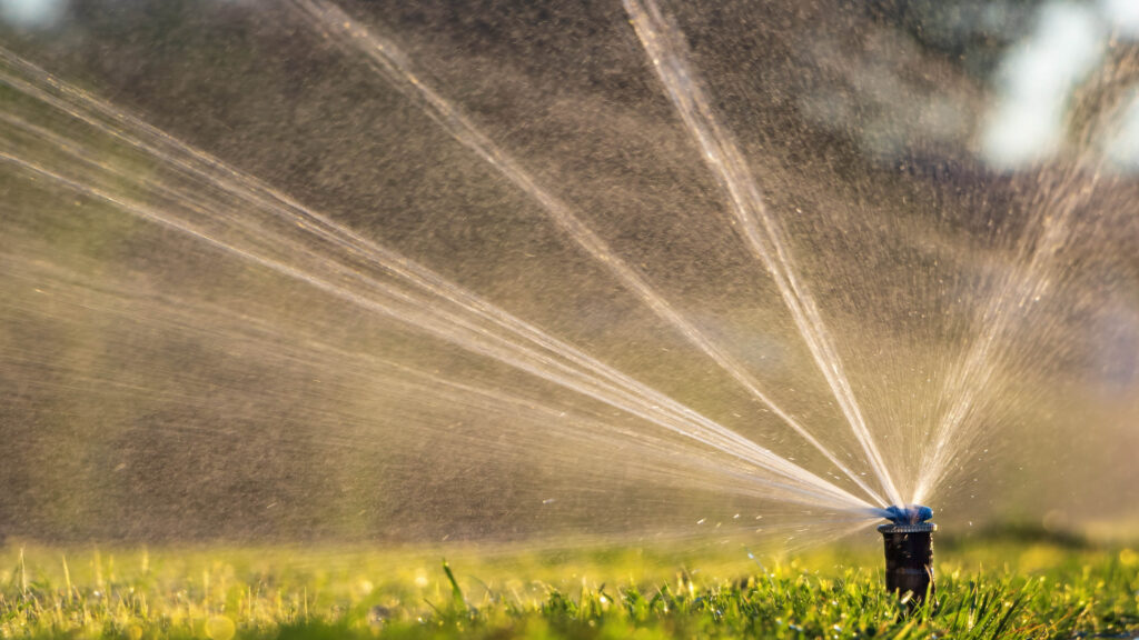 Beginning on Nov. 1, Orange County residents may water only if necessary and not between 10 a.m. and 4 p.m.