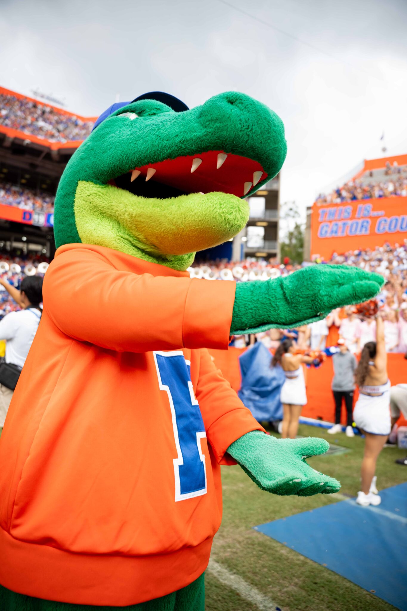 Florida mascot Albert performs the Gator Chomp on the sideline during Saturday’s game against South Carolina