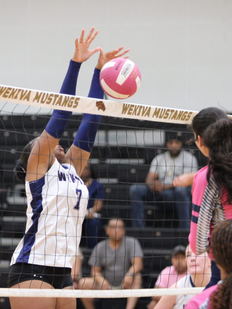 Ginia Reese shuts down a kill attempt by South Lake.