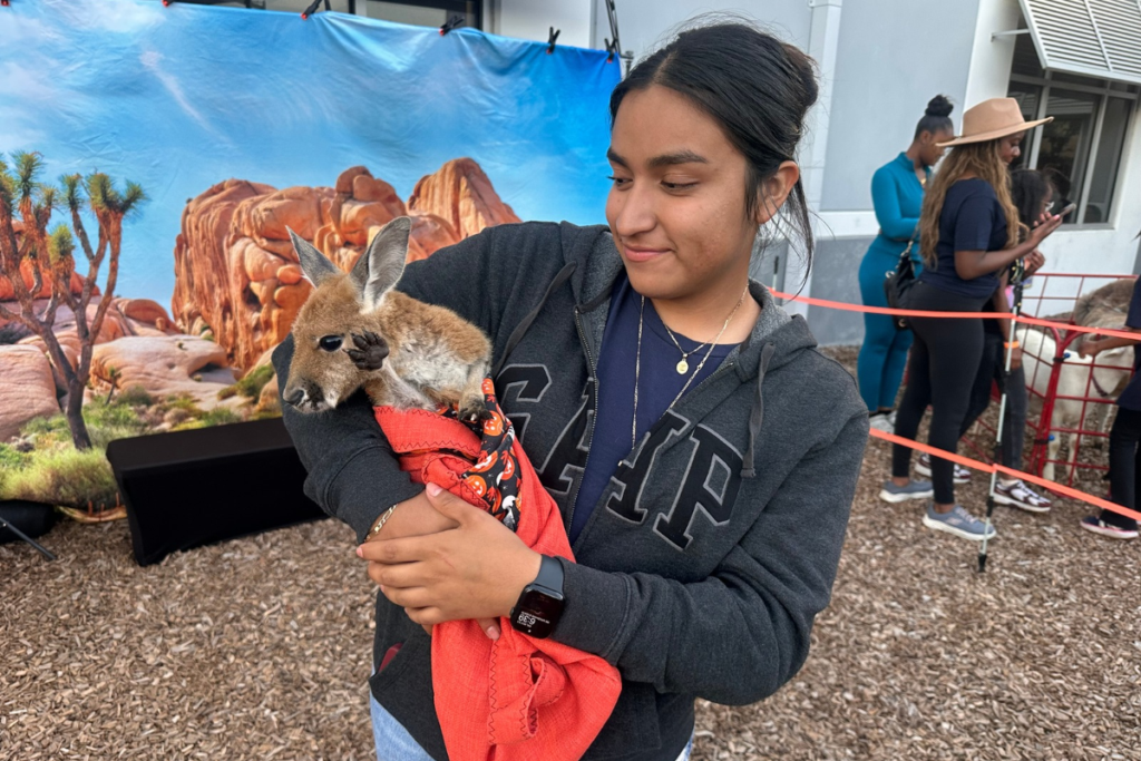Central Florida Preparatory School staff member Jasmin Garcia holds a baby kangaroo during the school’s fall festival Oct. 23 in Apopka. 