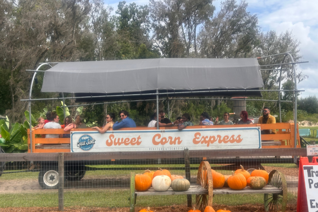 Visitors ride the Sweet Corn Express past a display of pumpkins at Great Scott Farms during the farm’s annual fall festival and corn maze season. 