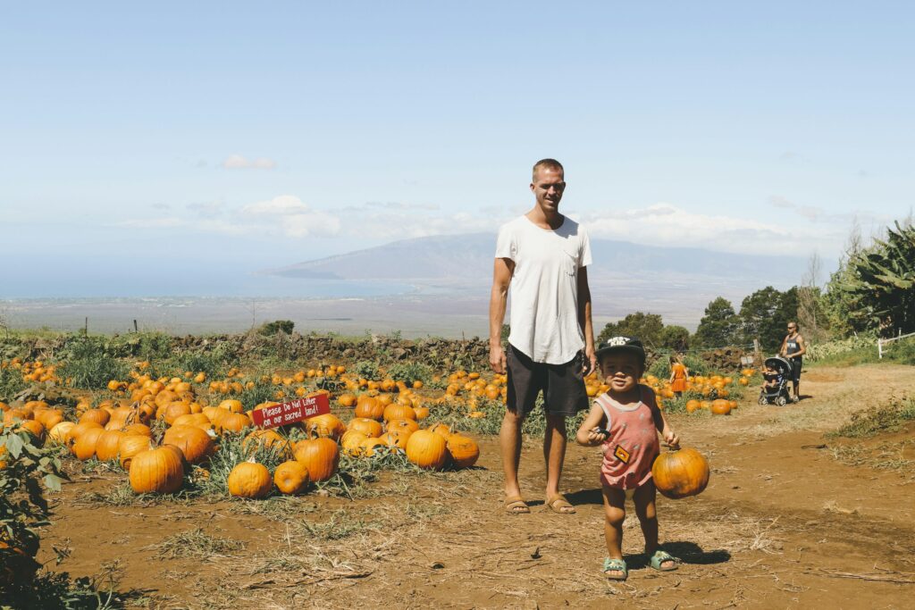 A father and toddler holding a pumpkin walk through a sunlit pumpkin patch with rows of orange pumpkins and hills in the distance.